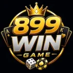899U Game
