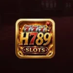 H 789 Game